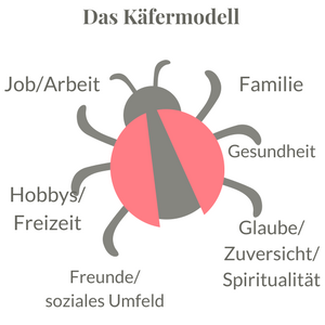 Käfermodell: Wie sieht dein Leben aus? 
